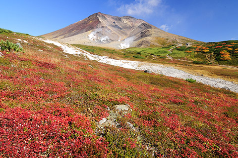 秋のおすすめスポット