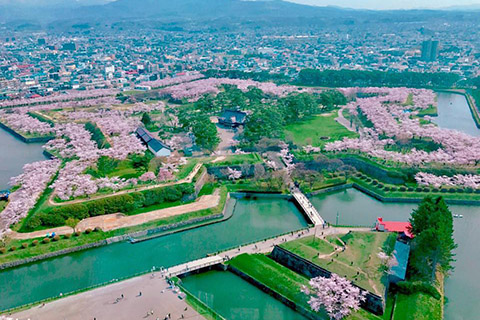 春のおすすめスポット