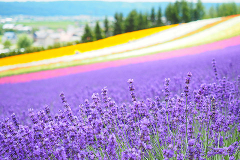 夏のおすすめスポット